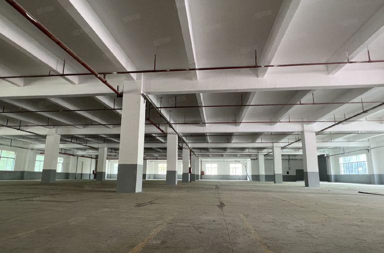 坪山区石井红本标准厂房1楼1300平出租，可300起分租