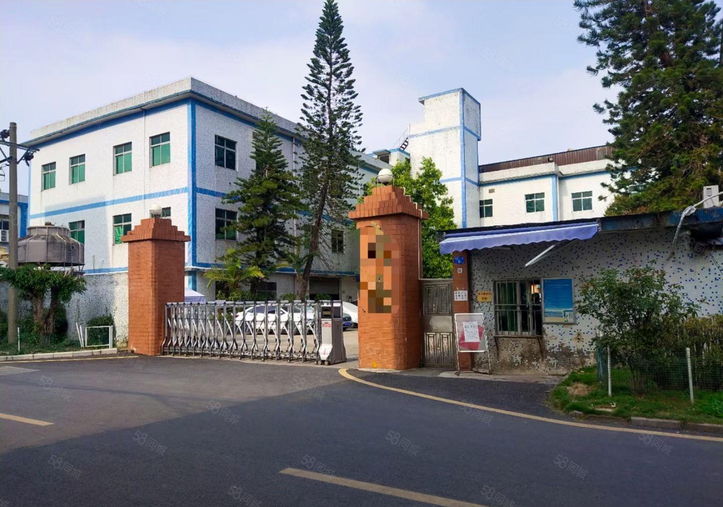 坑梓沙田空出3楼650平米实用面积搞格局好