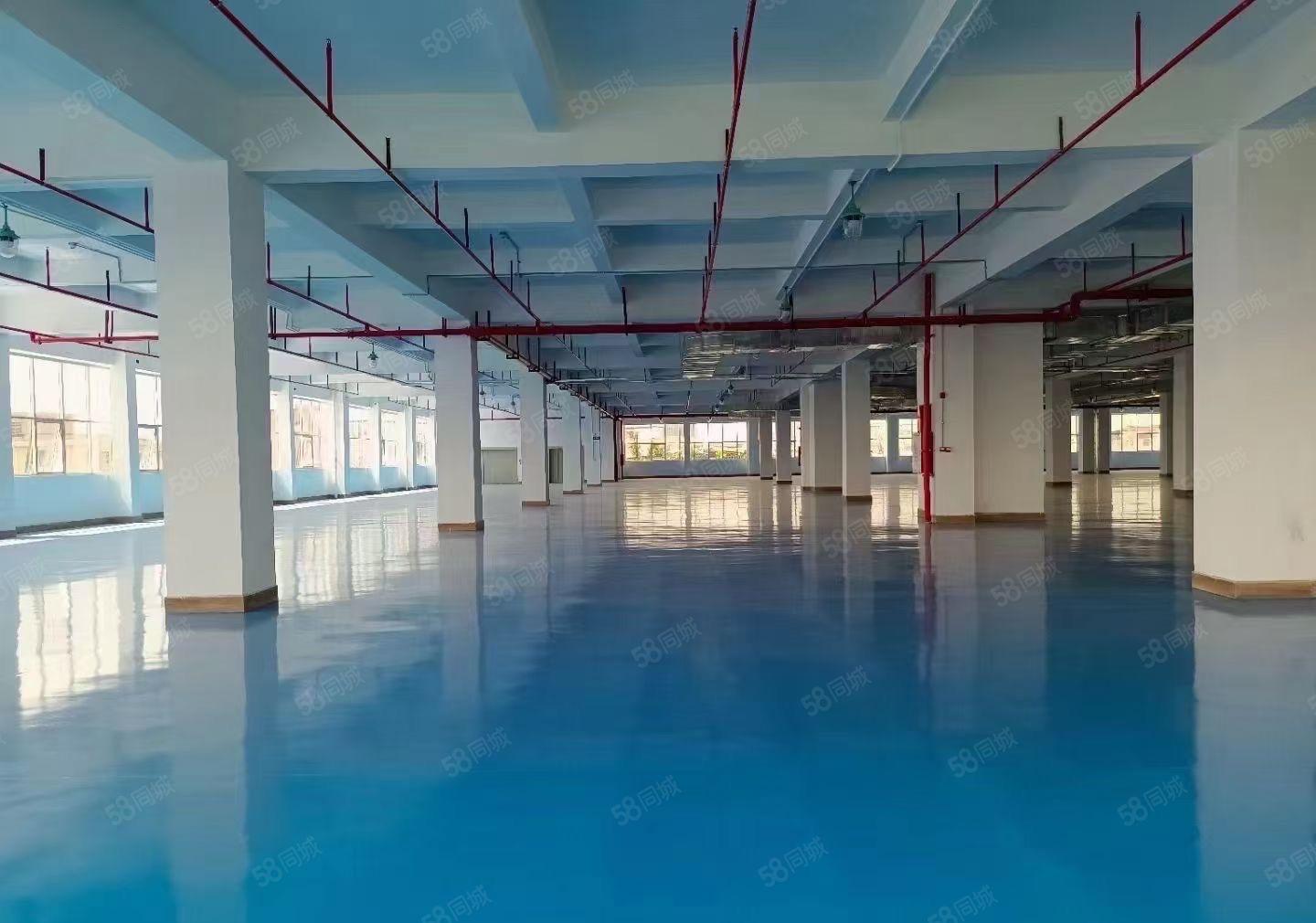 坪山高薪产业园2000平方红本厂房出租尤享房租补贴可分租