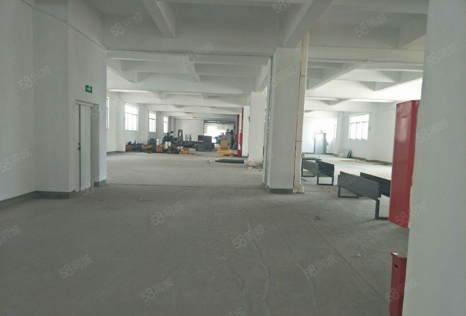 龙岗全新12000平米全新独栋厂房出租可分租
