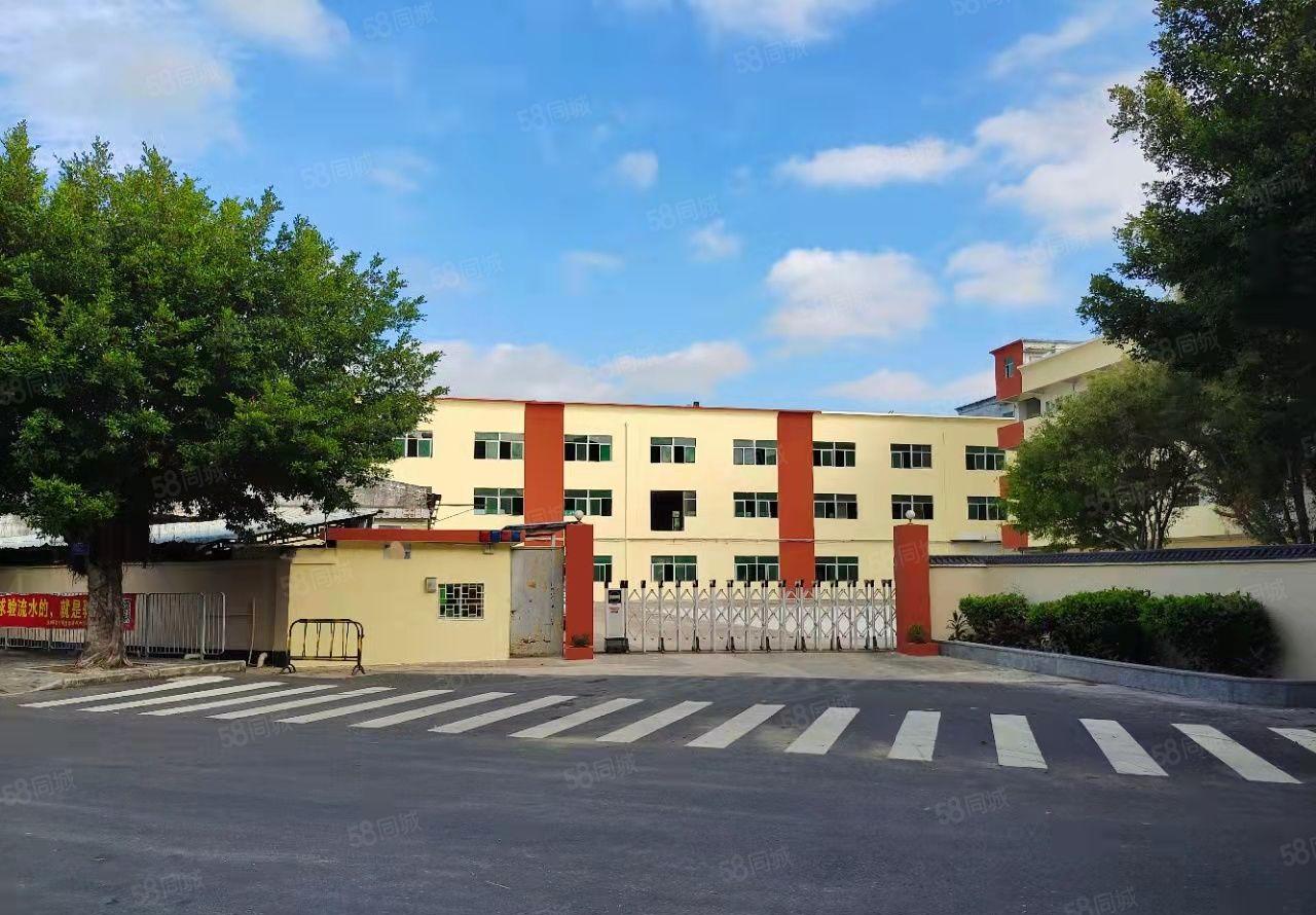 合同十年！坪山丹梓大道旁原房东独院厂房仓库10000平出租