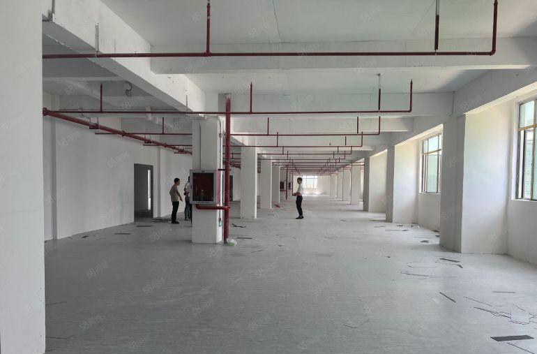 深圳市坪山区生物医疗产业园单层2000平红本村委厂房低价出租