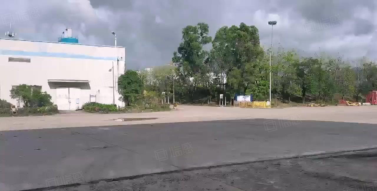 超大空地原房东红本钢构14米层高60000平2000平起分