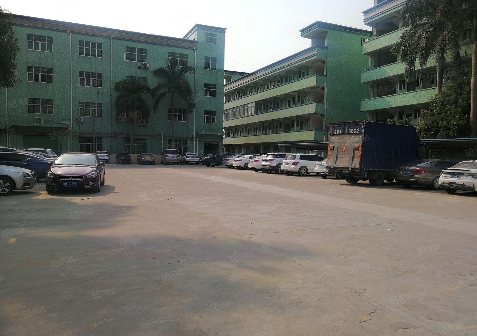 坪山碧岭一楼26元500平层高4.5米厂房空地超大