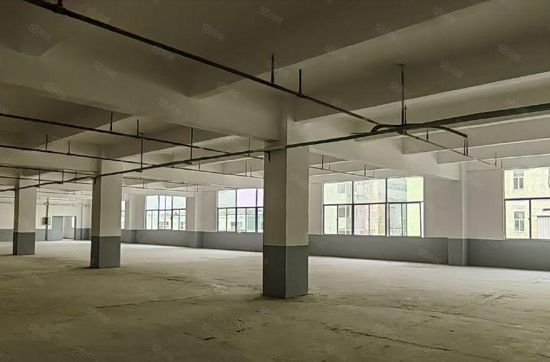原房东直租坪山龙田莹展大型工业园3楼3400平高4.8米