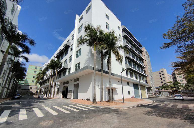 生物医疗坑梓5000平一二楼原房东红本全新厂房500平起分