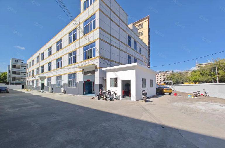 一手房东免租期长带红本坪山新出4500平独门独院仓库厂房出租