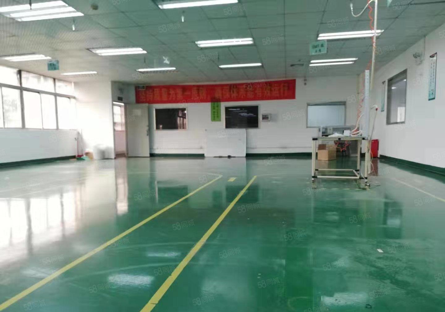 南坪三期高速出口坪山天虹商场附近红本厂房电商办公仓库500平