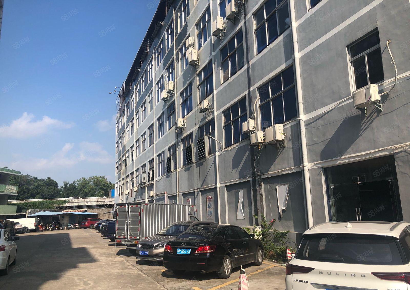 200平起分租坑梓汽车站旁红本3000平精装修厂房出租