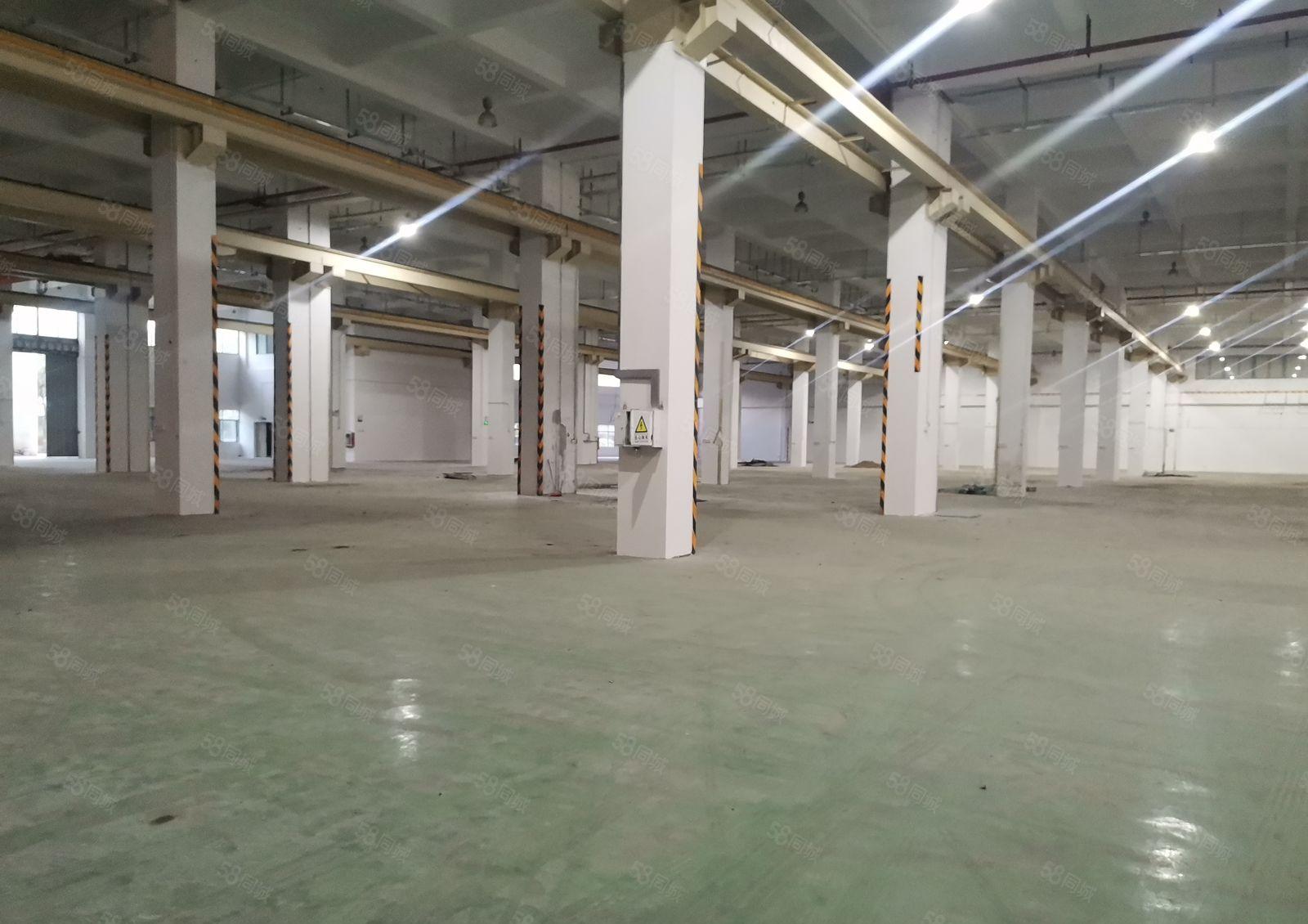 深圳市坪山区一楼12000平方米红本厂房出租，高度10米