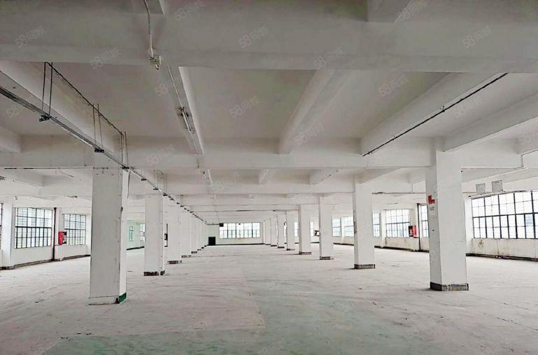 200平起租坪山坑梓工业区2000平标准厂房出租仓库招租