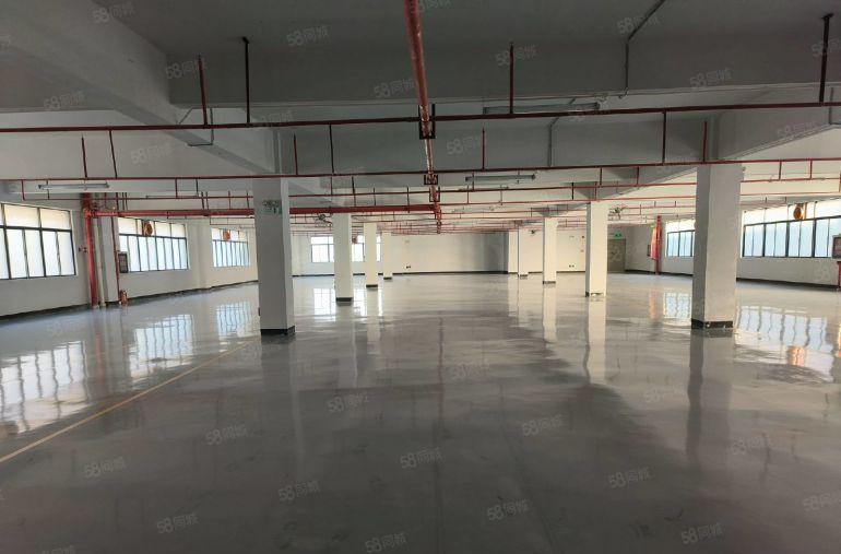 工业园区低价厂房分租厂房仓库出租一楼厂房出租性价比高可办环评