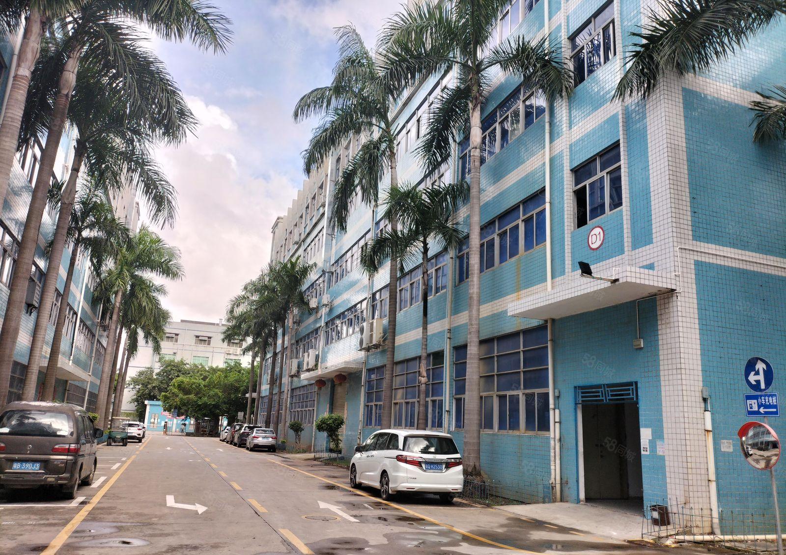 碧岭新出独院一楼6米高1000平，实际面积300平起租有红本