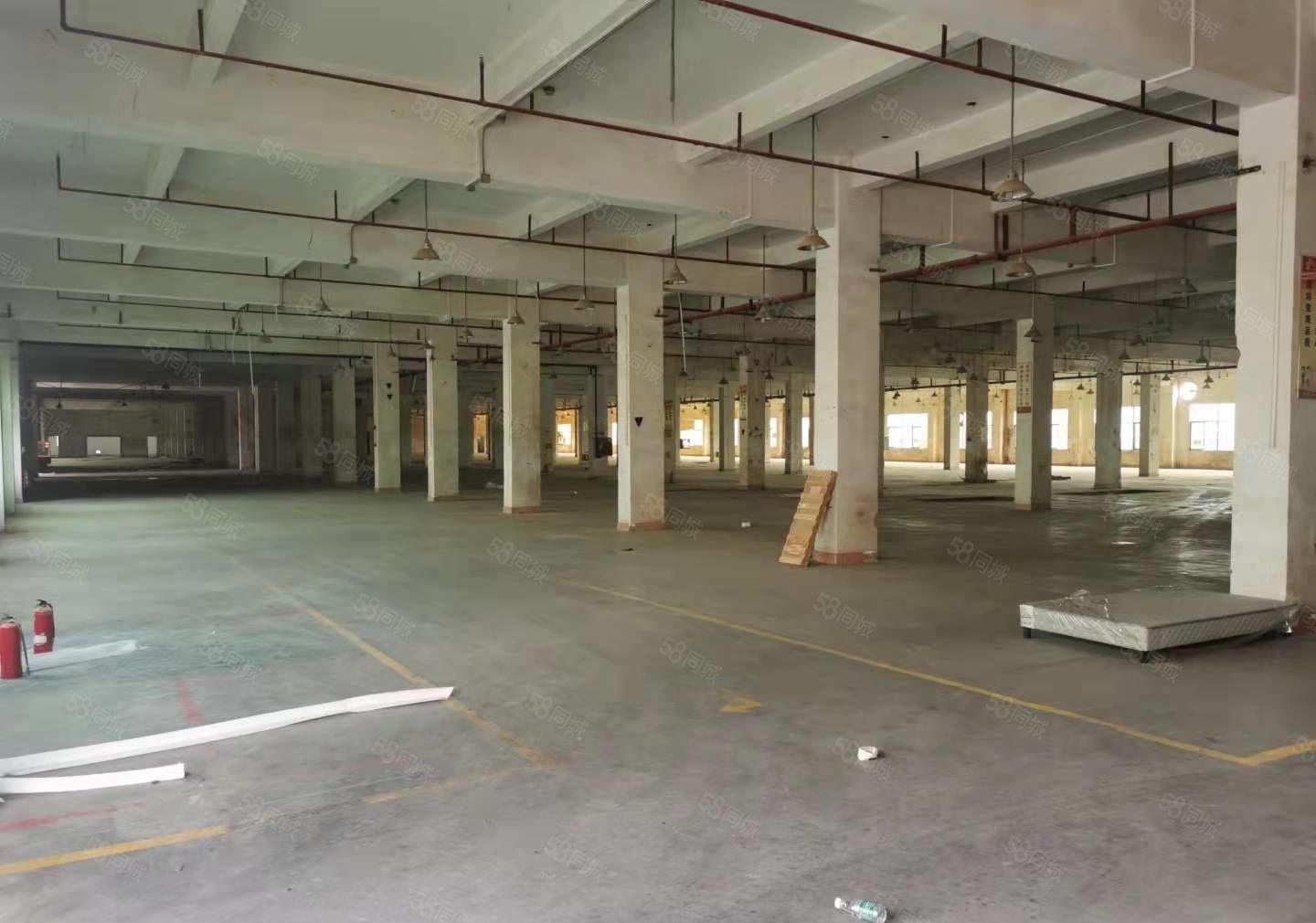 龙岗宝龙原房东独院厂房147000平方花园式厂房300平起分