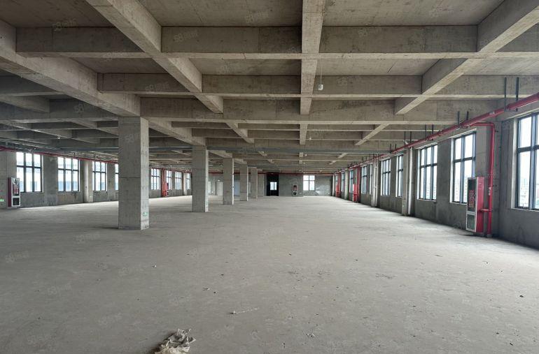 坑梓比亚迪旁4000平超低出租 价格免租期可谈