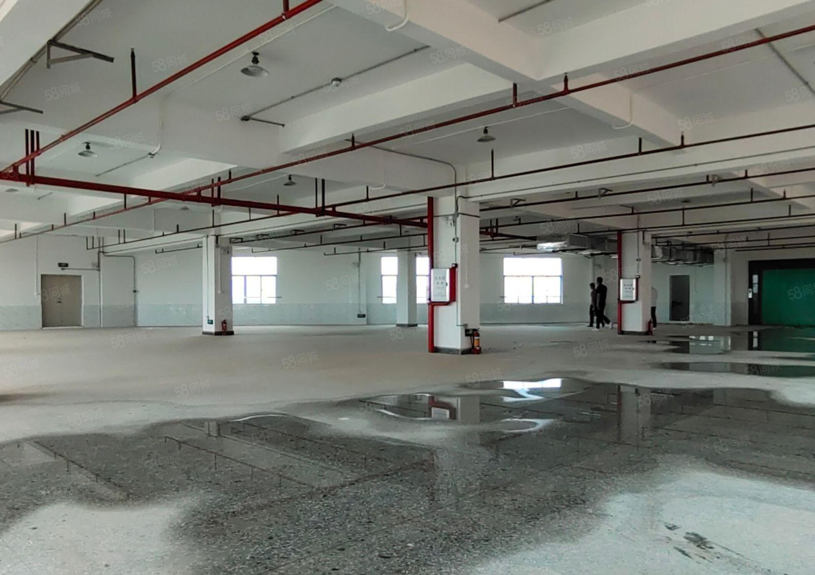 坪山石井独院一楼600平，带消防喷淋有红本，实际面积出租