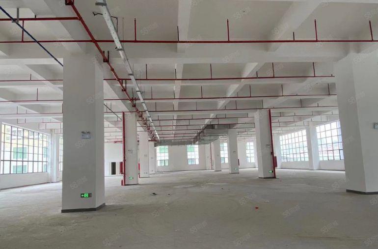 （出租）低至13元笋盘原房东红本直租坪山大工业区好招工可分租