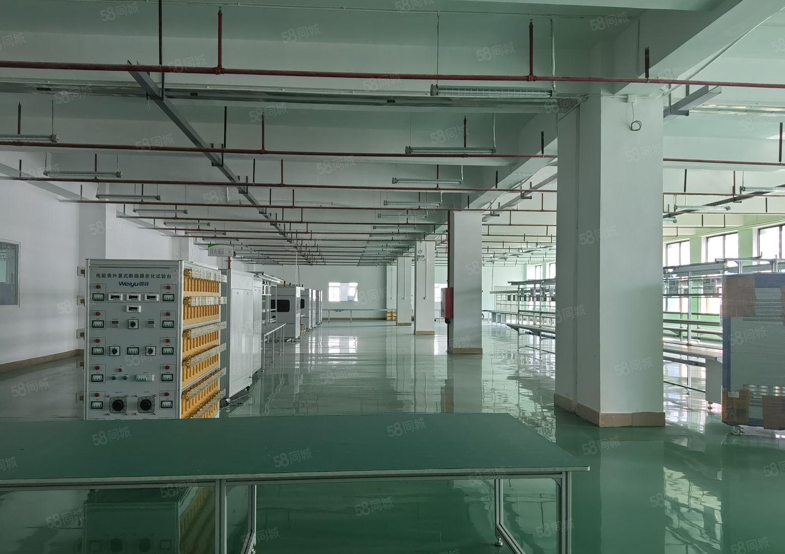 享政策补贴！坪山医疗产业园楼上2000平厂房仓库出租可分租