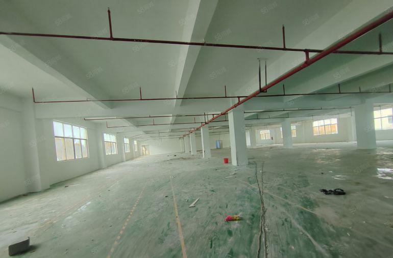 业主急租！2000平起租 5000平方标准厂房 年前低价租