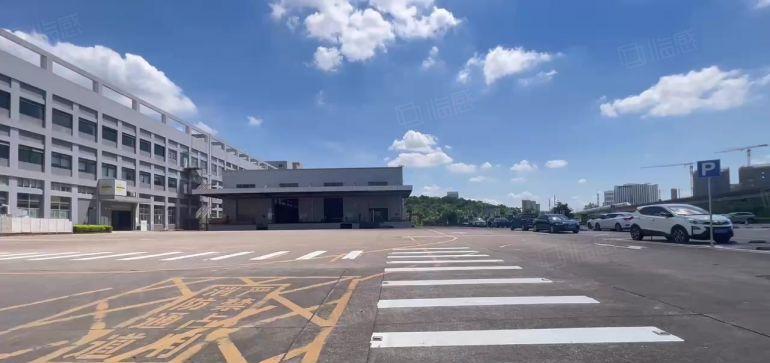 坑梓主干道原房东一楼厂房2500平方仓库出租带卸货平台空地大