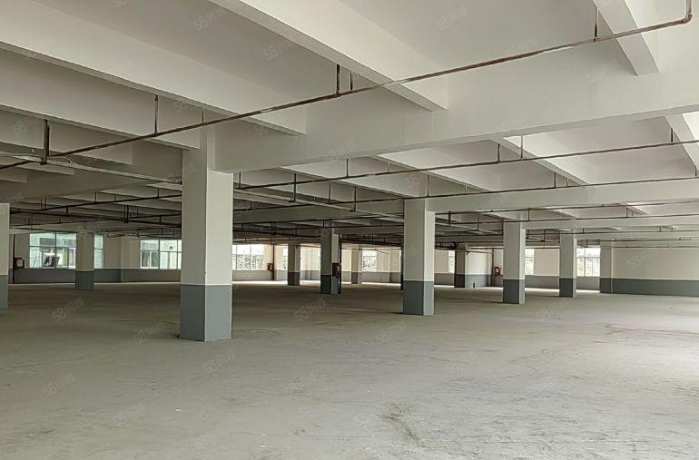 原房东直租坪山龙田莹展大型工业园3楼3400平高4.8米