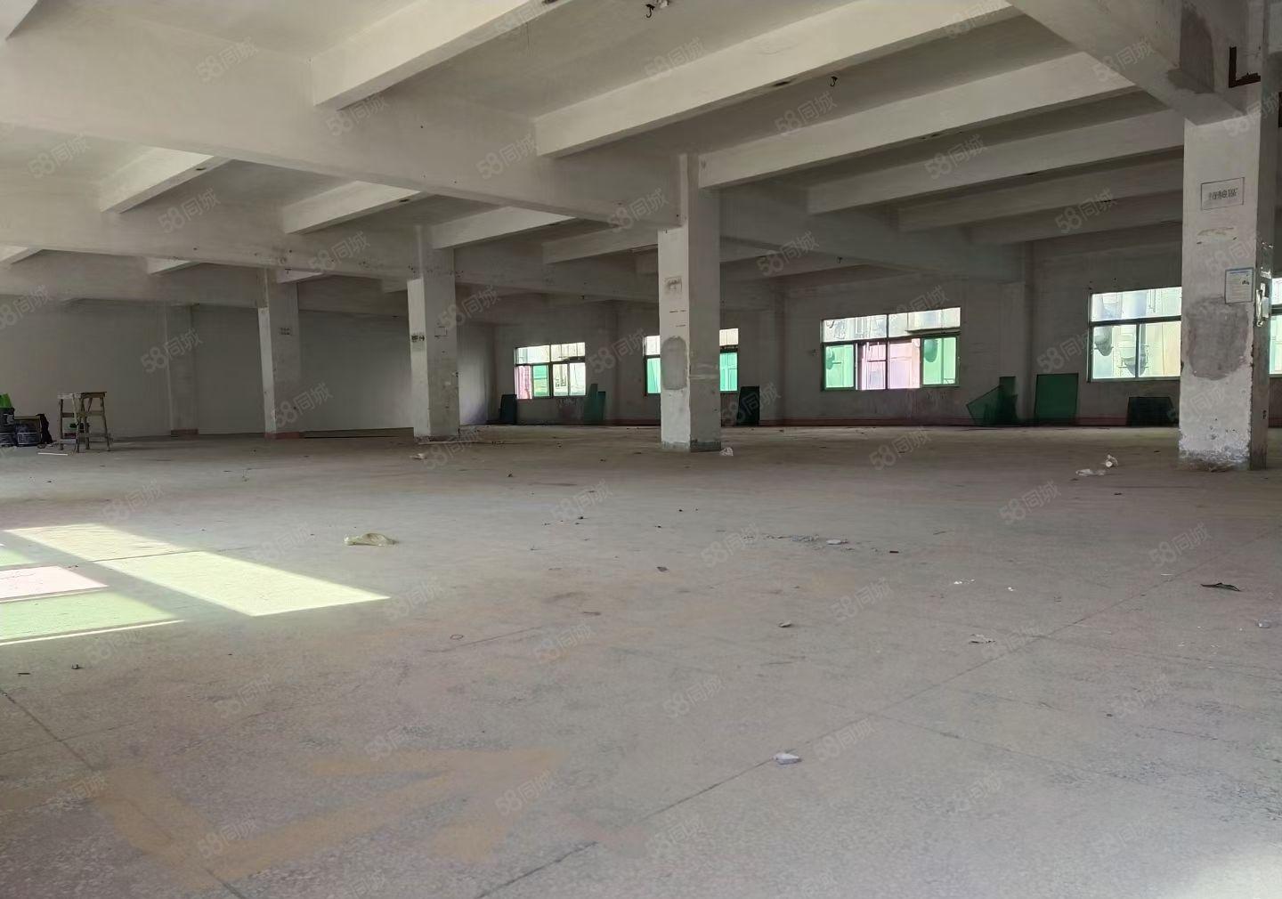 坑梓沙田空出3楼650平米实用面积搞格局好