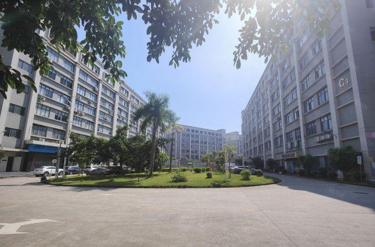 坪山中心区原房东1楼500至2000平厂房仓库出租 空地大