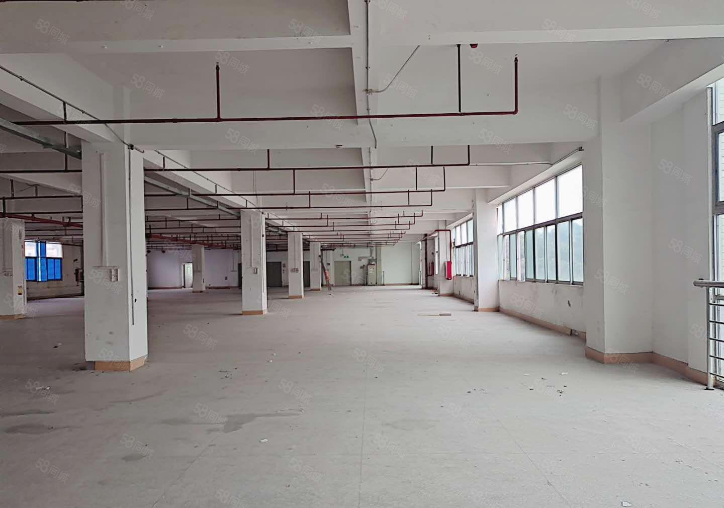 坪山高新产业园厂房仓库500平1千平2千平出租
