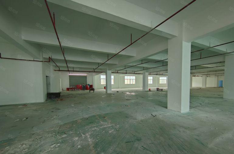 业主急租！2000平起租 5000平方标准厂房 年前低价租