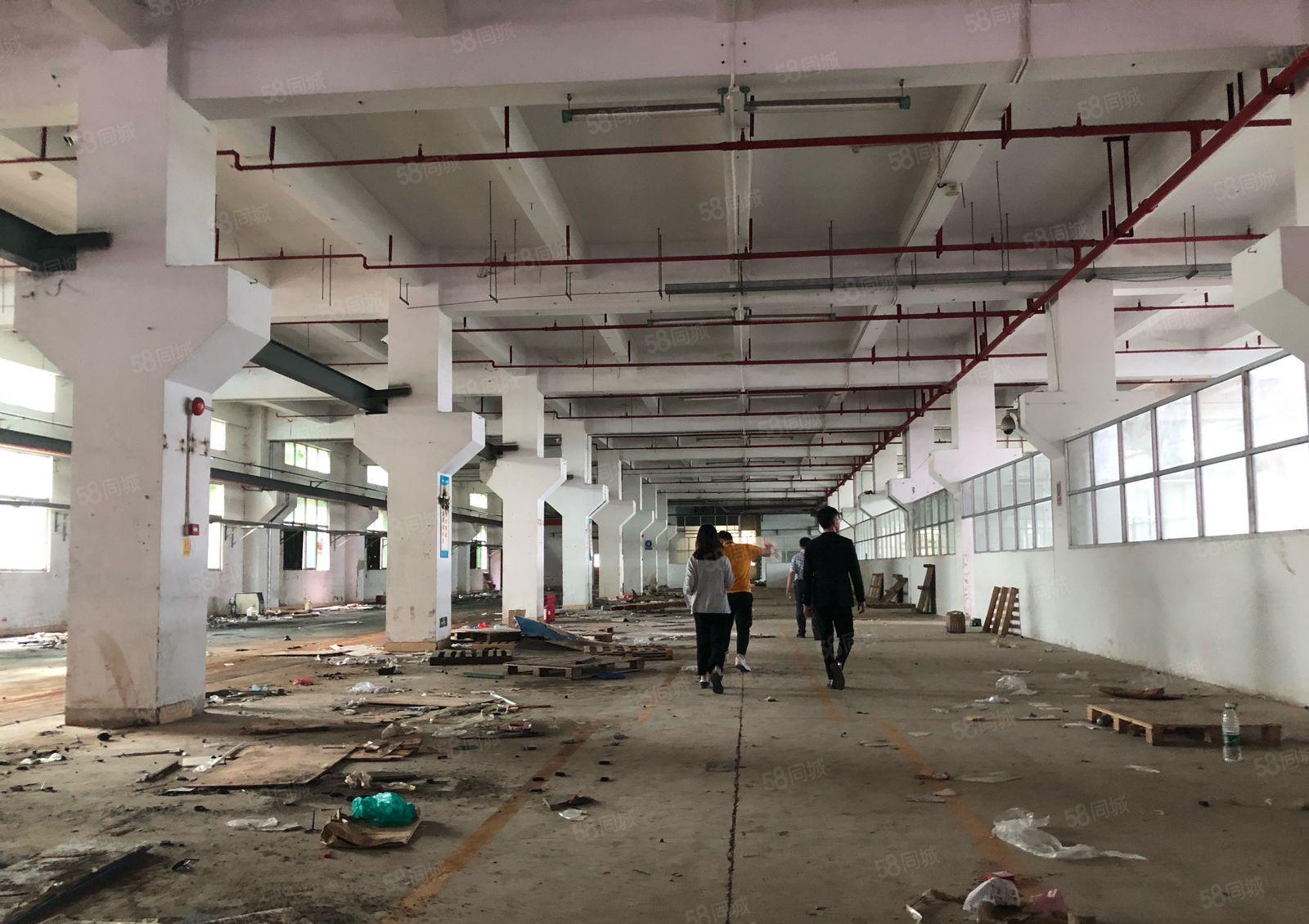 300平起分租坪山金牛西路原房东5000平红本厂房出租