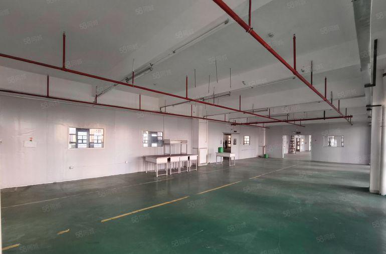 坪山大工业区新出楼上厂房 1000平可分租装修已隔好看视频