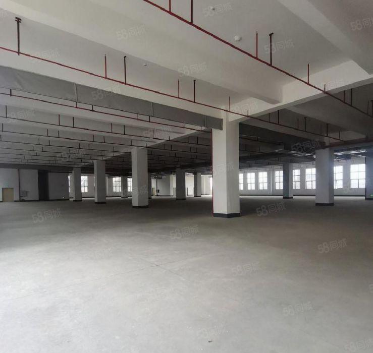 塘厦沙湖科苑城靠近观澜，新建园区独栋4万6平方厂房出租