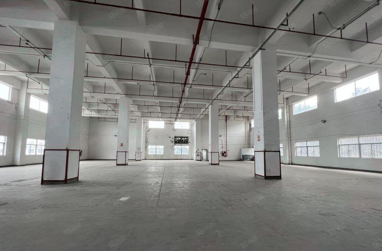 坪山原房东层高7米19000平方厂房仓库出租1200平可分租