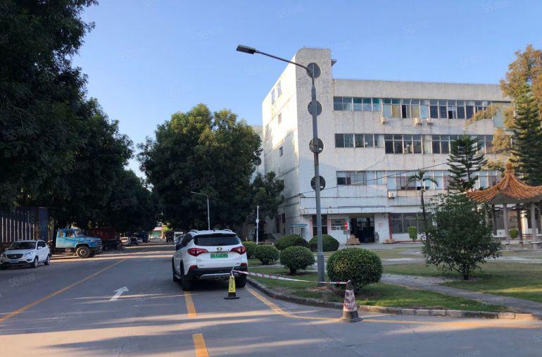 原房东，坪山坑梓新出一楼1000平带行吊仓库办公室厂房出租