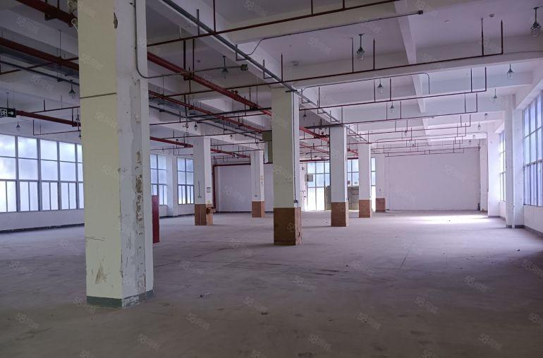 深圳坪山新出漂亮园区厂房1楼层高6米园区空地大沿主干道好招工