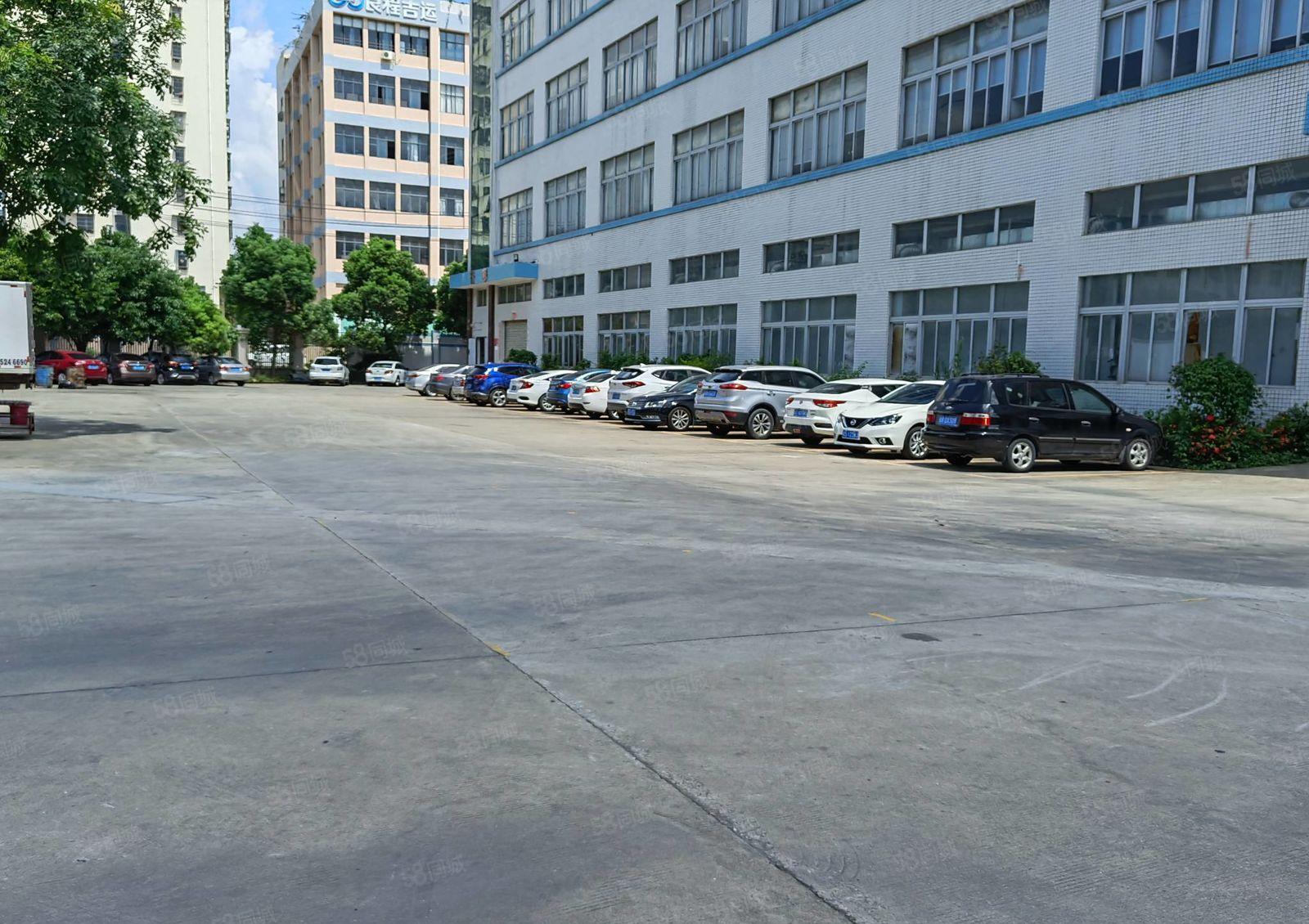 坪山新出1000平至5000平一二楼厂房仓库出租独院大小分租