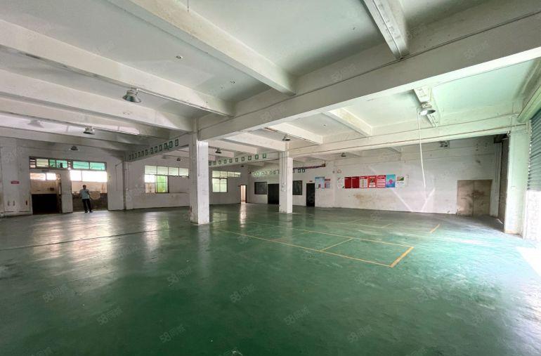 坑梓一楼厂房出租1000平方带有现成车间办公室可以分租