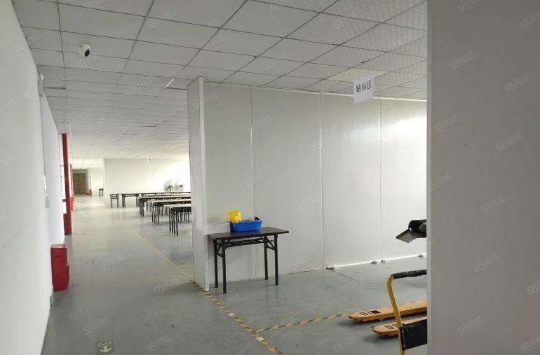 坪山花园式科技园红本厂房1800平米现成装修