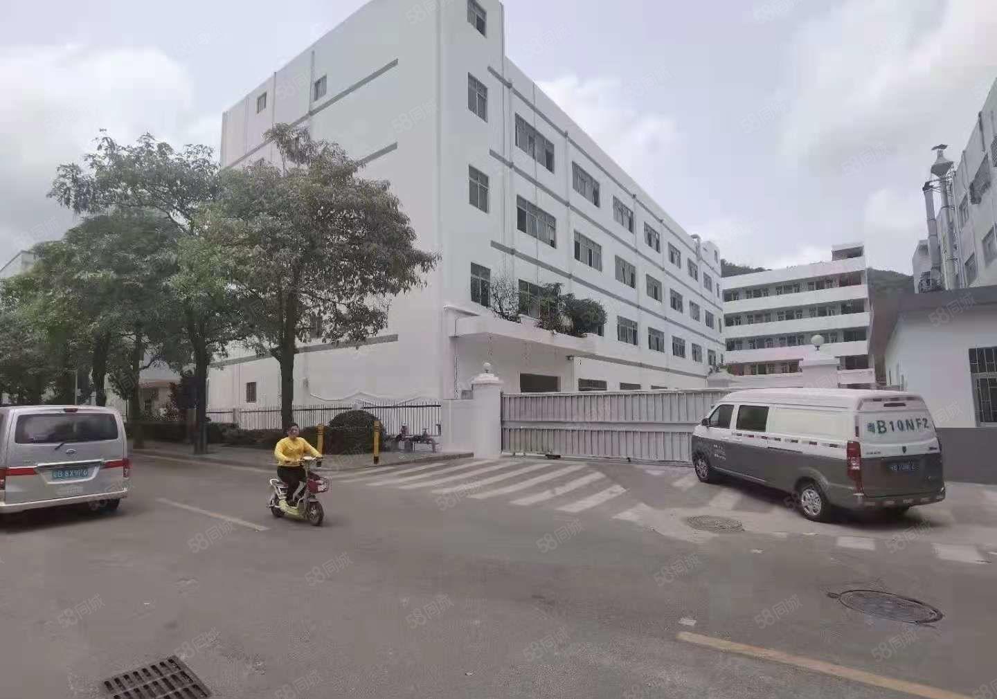 500平起租拎包入驻坪山新出2000平精装修红本厂房水电齐全