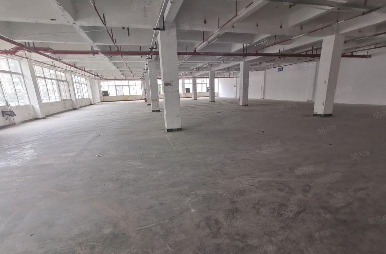 坪山坑梓200平起分工业园仓库厂房出租一楼原房东卸货平台高速