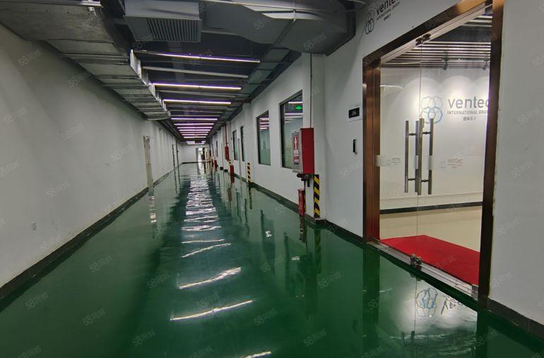 低价办公室出租写字楼合租300平米800平米可大可小