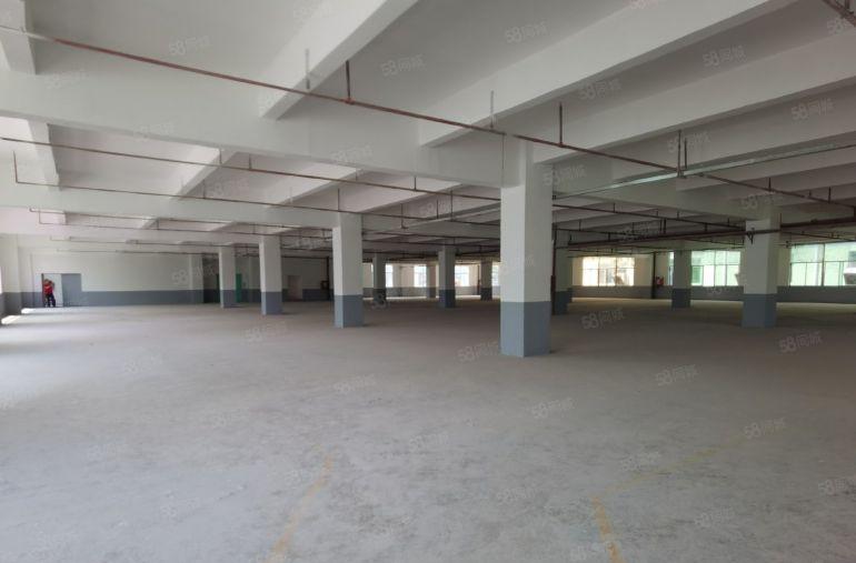 坪山中心地铁口原房东独院厂房仓库6500平出租可办环评易招工