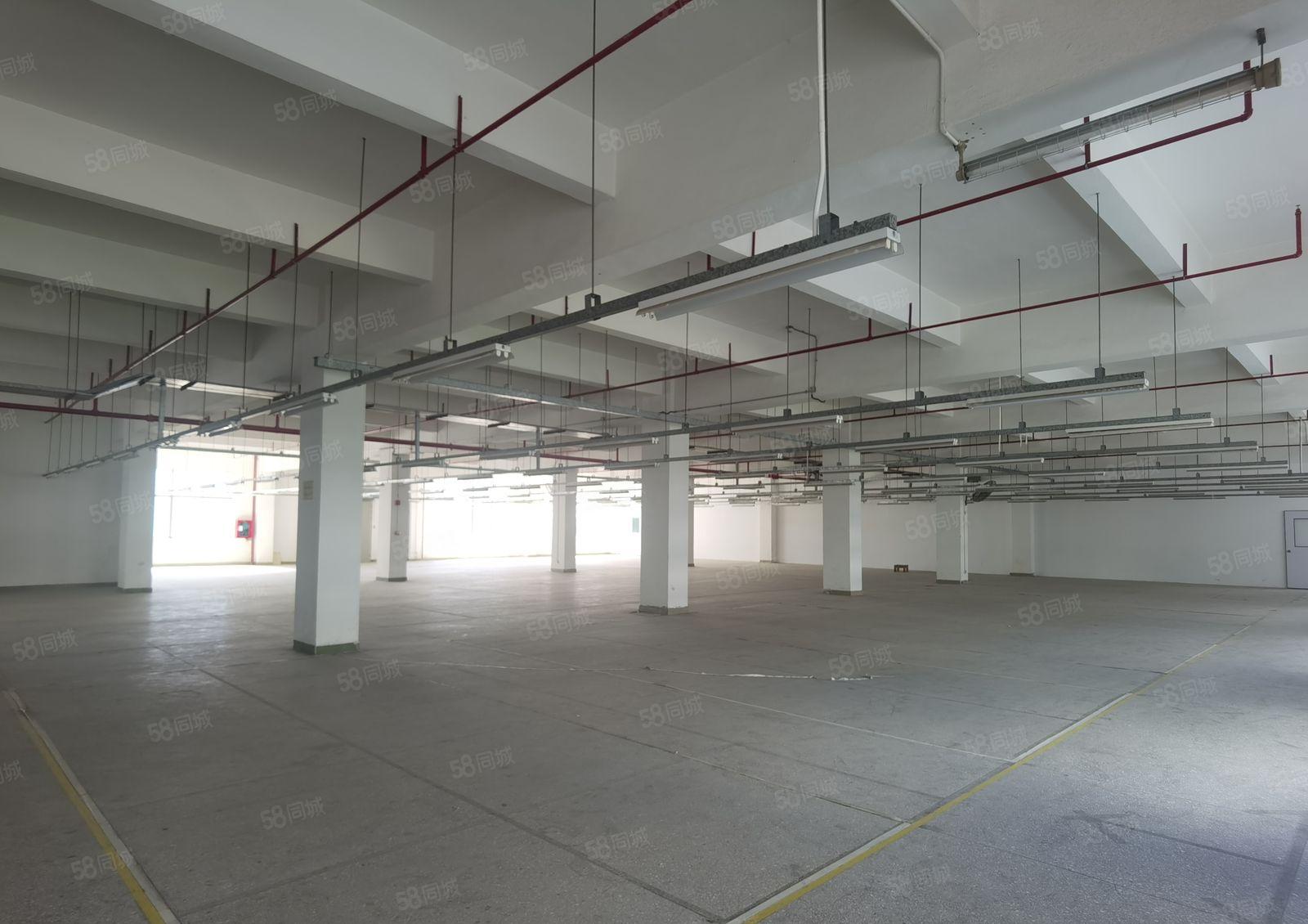 5500平起租！坪山宝山独门独院厂房3万平米精装修低价出租