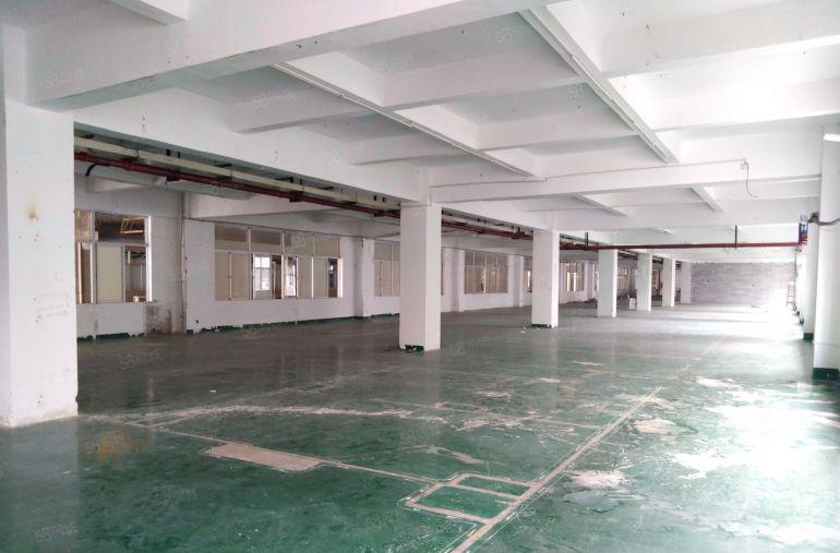 坪山碧岭沙湖标准厂房750平方米可生产研发办公电商贸易加工