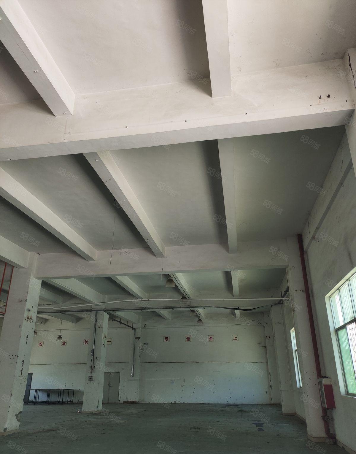 坑梓6米高厂房，500平起租