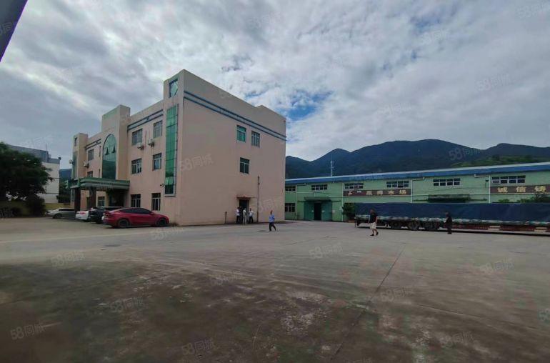 坪山坑梓钢构厂房出租300平起分独院工业仓库一楼出租超大空地