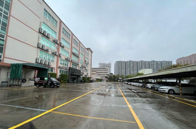 坪山坑梓红本5000平工业厂房出租 可分租 工业园仓库出租