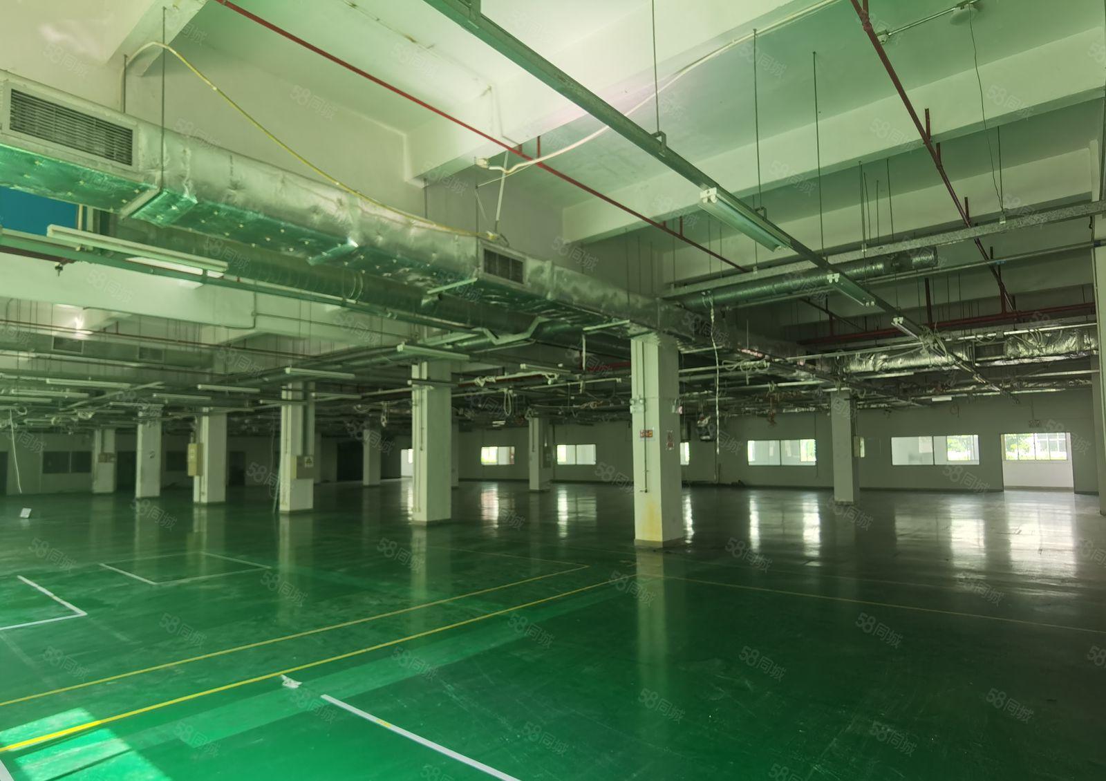 5500平起租！坪山宝山独门独院厂房3万平米精装修低价出租