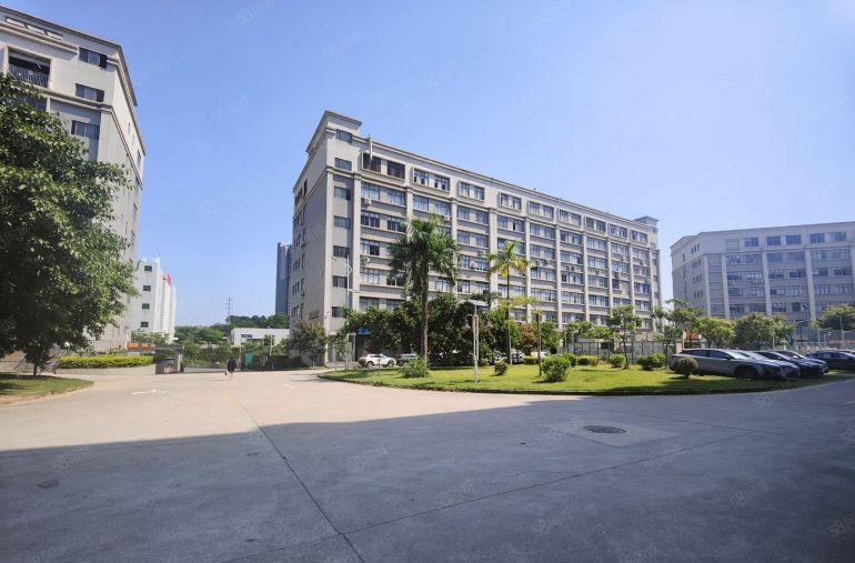 坪山中心区原房东1楼500至2000平厂房仓库出租 空地大