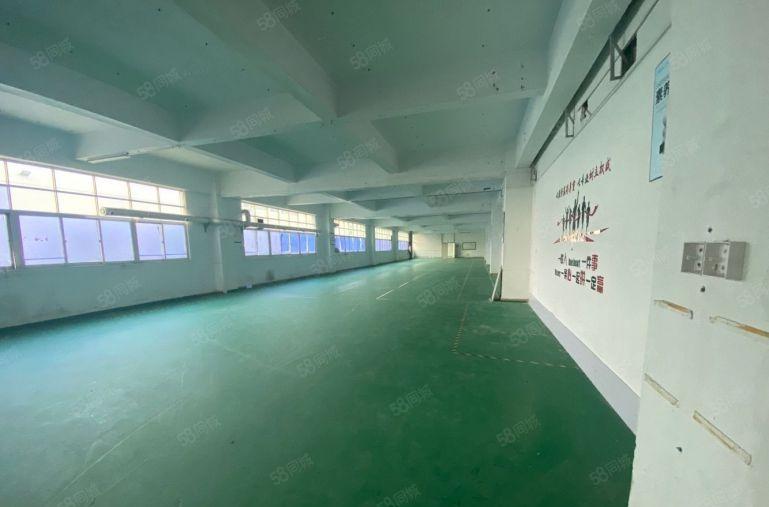 20元起低价分租坪山高新工业园厂房出租20000平仓库出租转